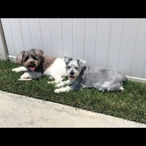 Meet your Posher, Jamie